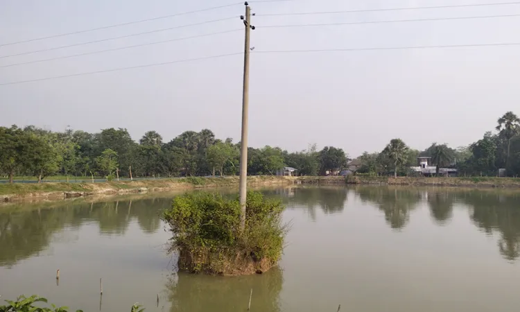 Electric Pole Surrounded by Water Naogaon Villagers in Fear