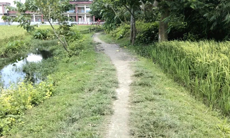 Corruption in Islampur project