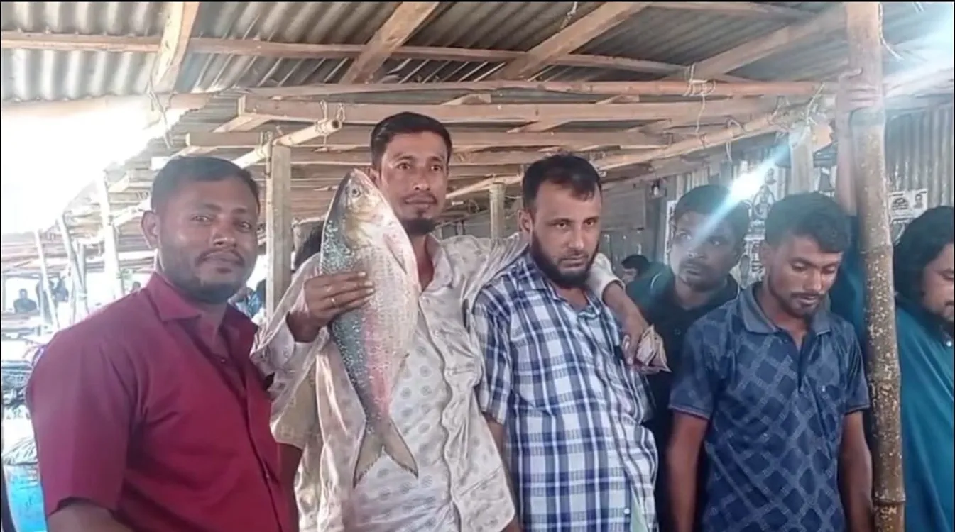 A hilsa fish was sold for 9,200 taka in Lakshmipur