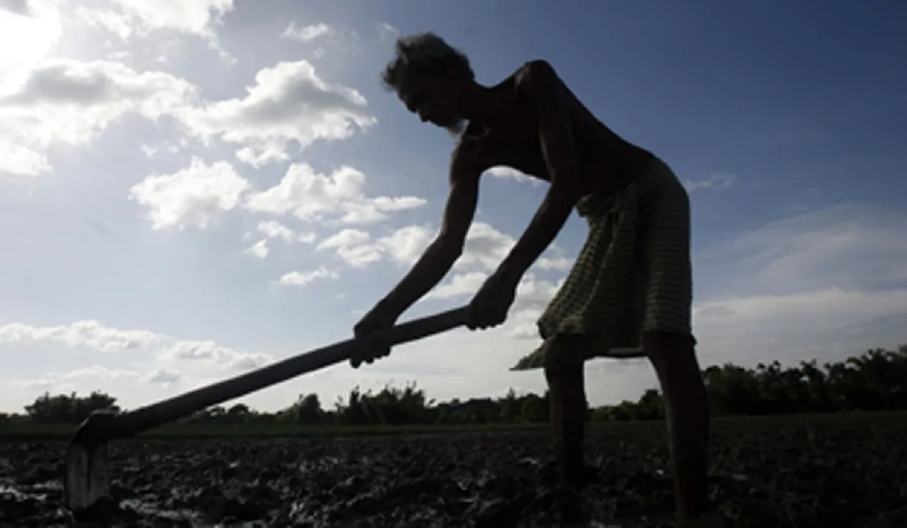 Farmer dies while tending paddy in flood water in Niamatpur