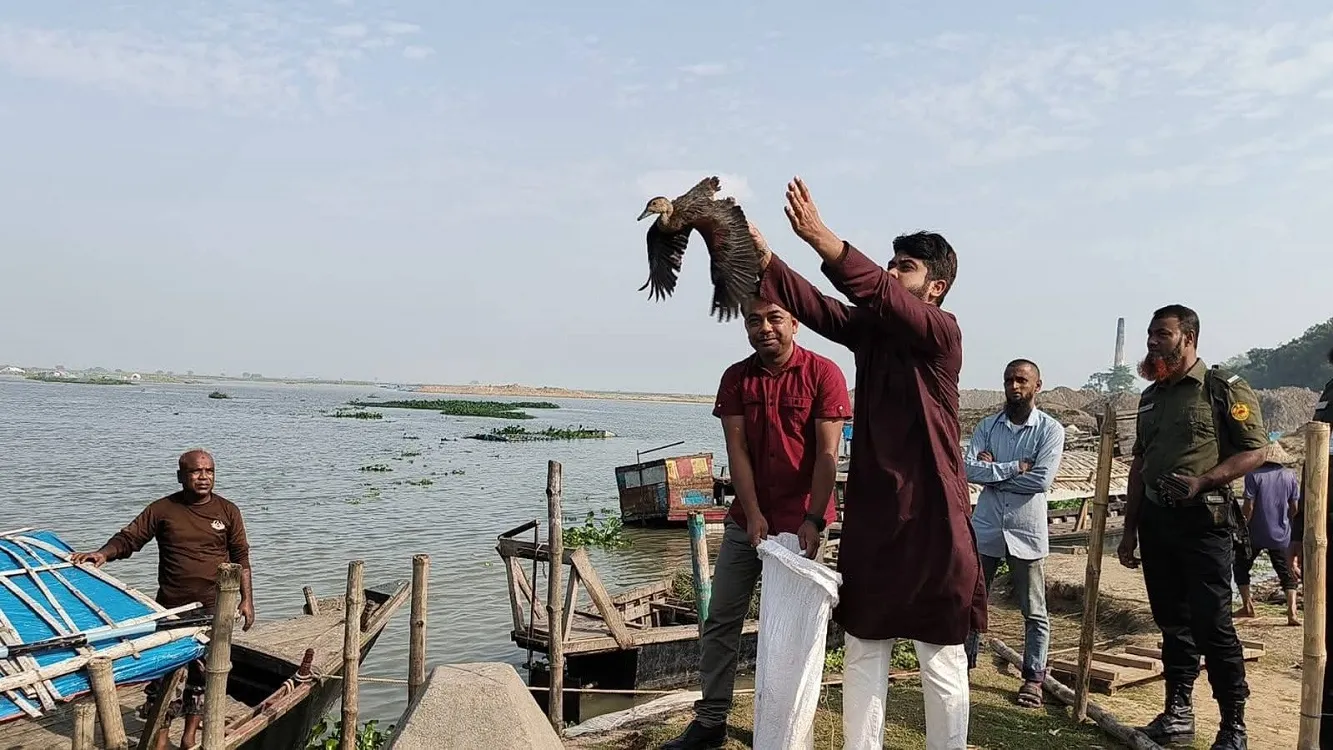 UNO Rakibul Islam successfully rescued and released six guest birds in Porsha, Naogaon. : Photo M. Roych Uddin, Porsha Upazila Representative