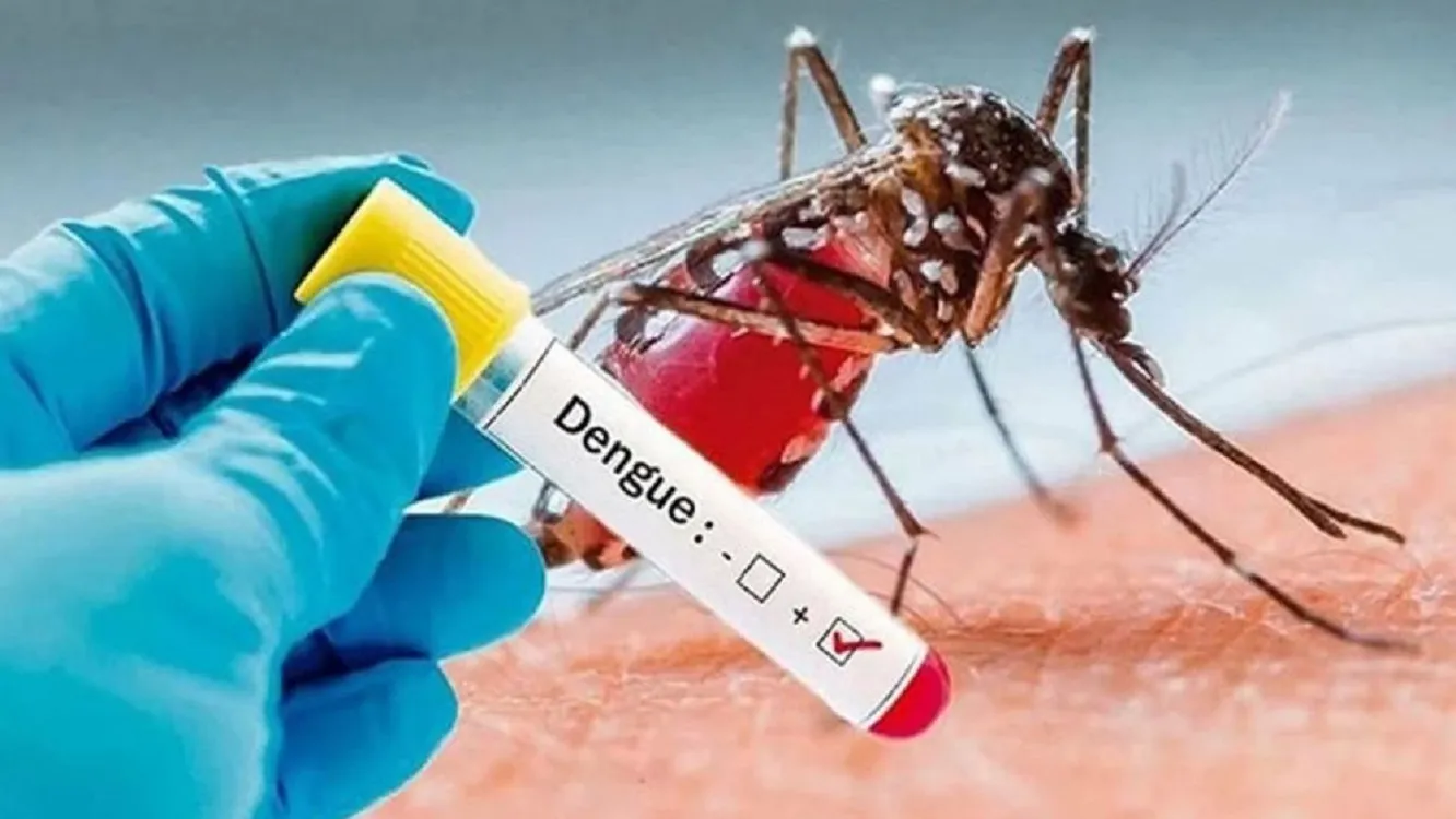 Child dies of dengue in Chattogram