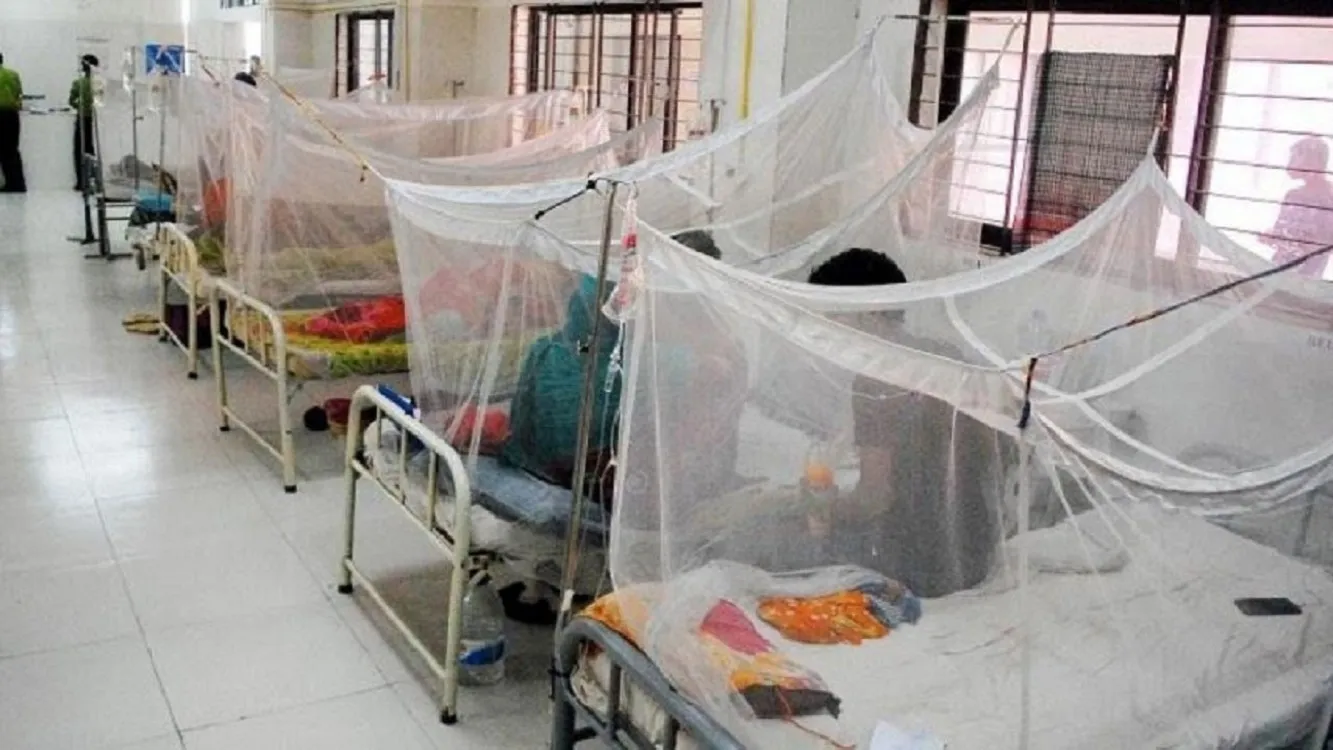 6 More Deaths, 788 Hospitalized in 24 Hours