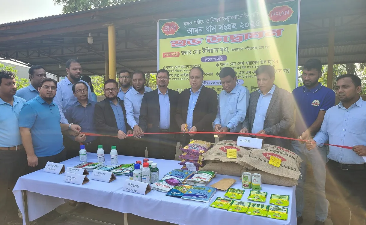 Pran Group's Banga Mills has commenced the collection of Aman paddy in Phulbari