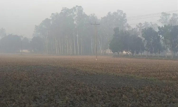 Cold Snap Deepens in Panchagarh as Temperatures Linger at 13°C