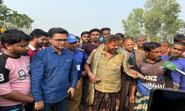 9-Foot Python Captured in Kurigram, Handed to Forest Officials