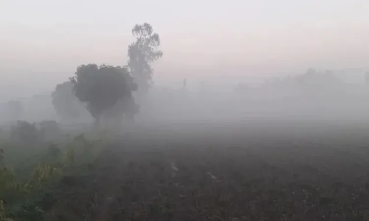 Severe Cold Wave Grips Panchagarh, Temp Drops to 10°C