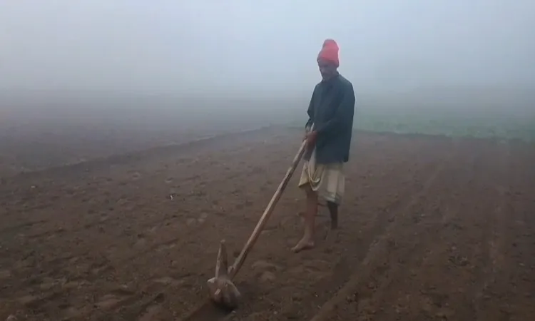 Kurigram faces intense cold as the minimum temperature hits 12.7∘C with dense fog.