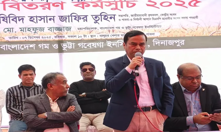 DG distributes government seeds through BNP candidate in Pabna