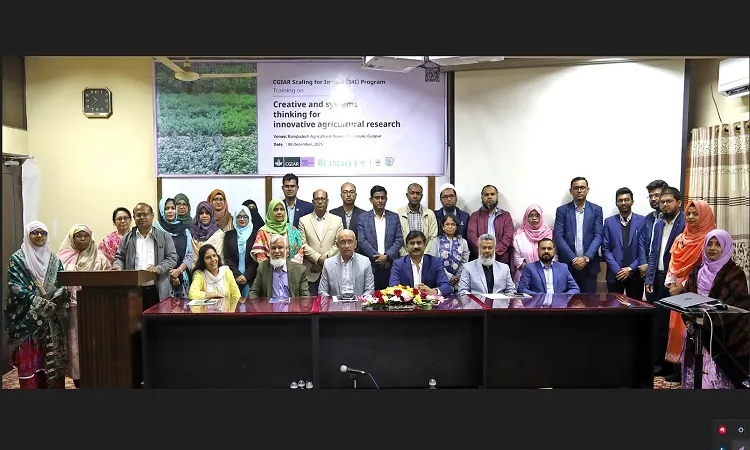 BARI and CMIT jointly held a training on 'Creative and Systematic Thinking for Innovative Agricultural Research' for 25 scientists, featuring BARI DG Dr. Md. Abdullah Yusuf Akhand.