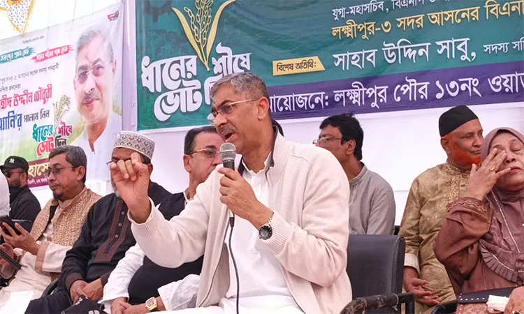 Ziaur Rahman played village politics: Annie Chowdhury