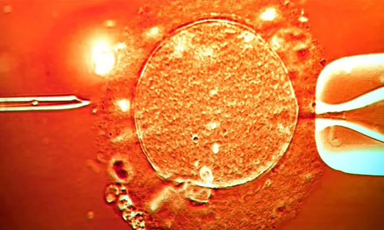 The donor's sperm was used in clinics across Europe: Photo collected