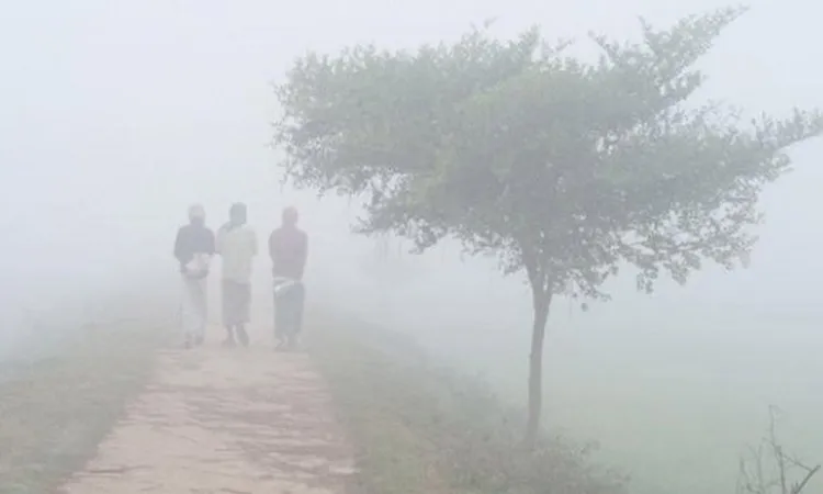 Mild Cold Wave and Dense Fog Shiver Bangladesh