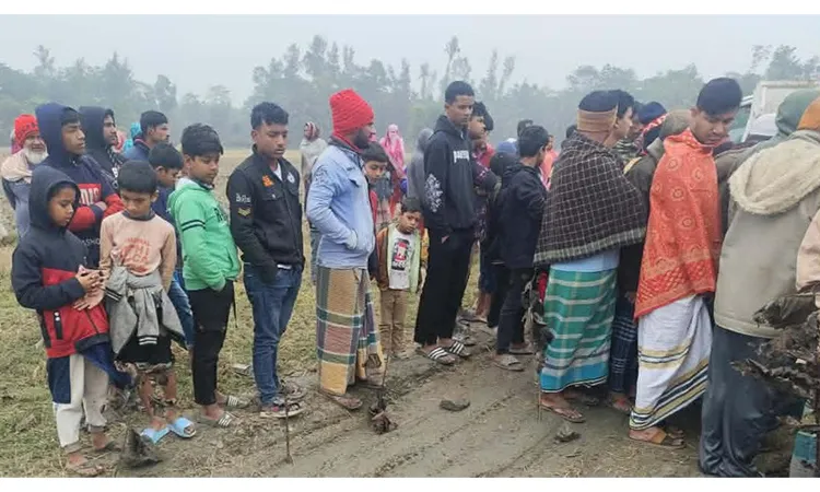 Teenager dies after being crushed by pickup truck carrying soil in Lakshmipur