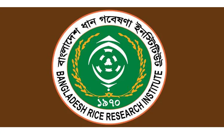 BRRI Annual Research Review Workshop inaugurated on Thursday