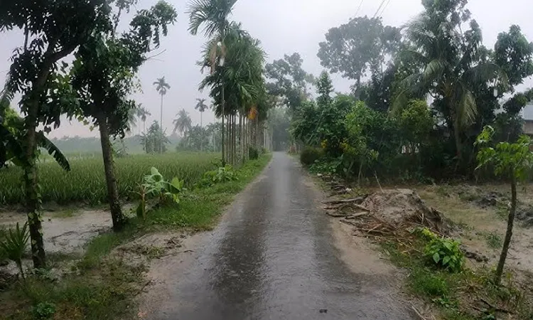 Light to moderate rain may affect parts of southern Bangladesh on February 23 and 24, according to a climate researcher.