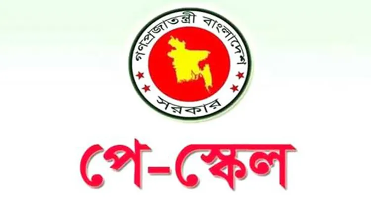 State Minister for Finance reveals government's plan to implement pay scale