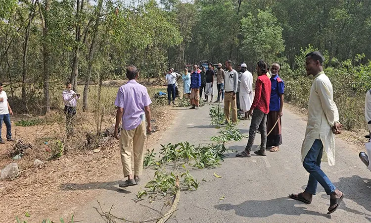 Burnt bodies of two, including madrasa student, found in Gazipur
