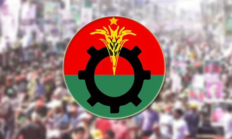 Bangladesh Nationalist Party logo