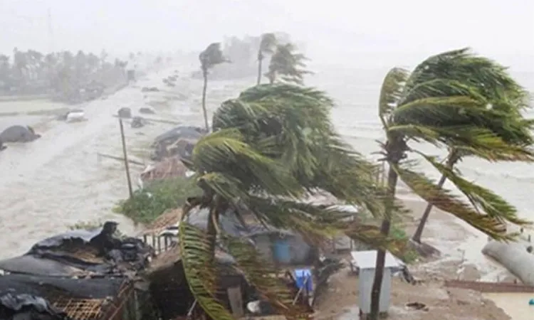 Strong winds at 45 to 60 km per hour from the west or northwest are also expect.