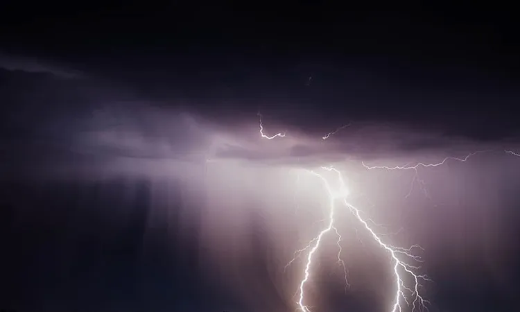 Officer-in-Charge of Madhukhali Police Station, Fakir Md. Taizur Rahman, said police received information about the death.