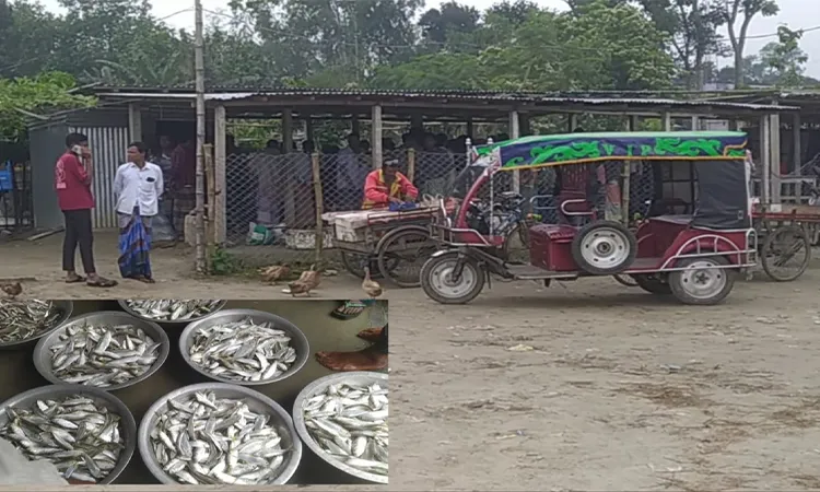 At Kalitala Ghat fish market, jatka were found being openly sold on Sunday (March 22).