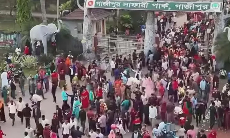 Visitors started arriving early Sunday morning (March 22)