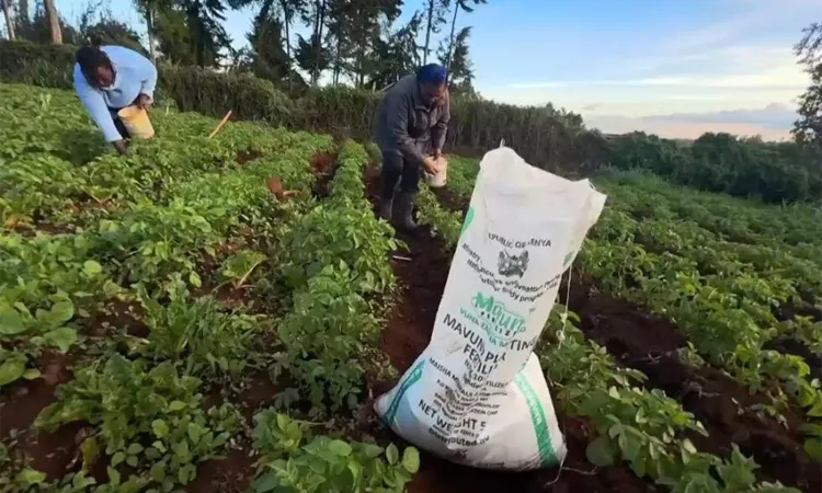 Experts warn that the timing of the crisis is especially critical.