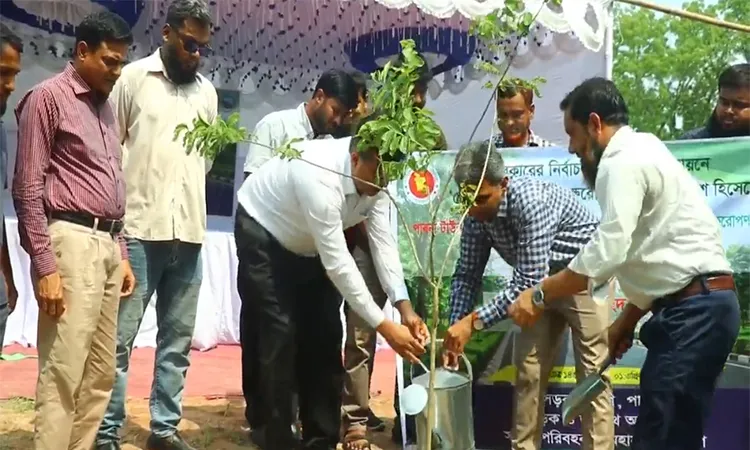 DC Inaugurates Tree Plantation Drive in Pabna