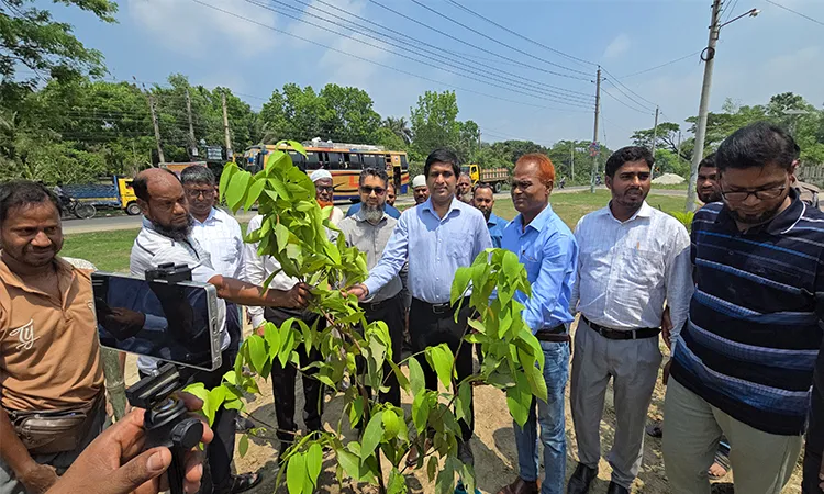 Faridpur Road Department Launches Major Tree Plantation Drive