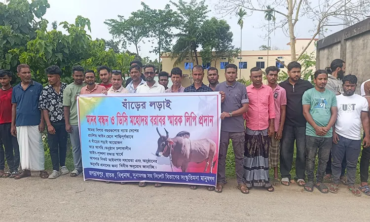 Sunamganj Group Forms Human Chain Demanding Bullfighting Approval
