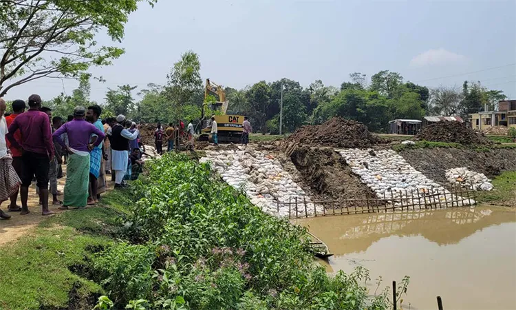 Sunamganj Farmers Breach Dams to Save Submerged Boro Crops