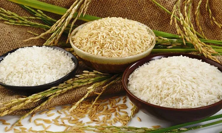 Government Sets Procurement Prices for Boro Paddy and Rice