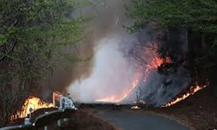 The blazes which broke out three days ago in the mountainous areas of the Iwate region.