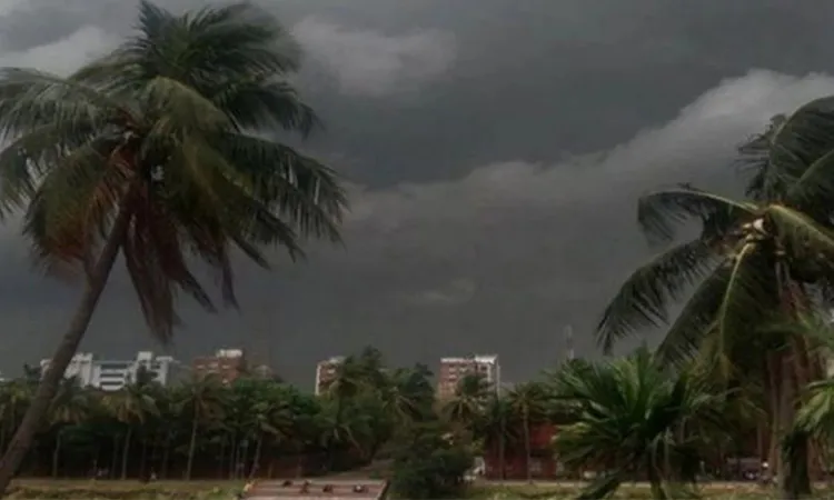 Trader Killed by Falling Tree, Storm Causes Multi-Million Taka Loss Across Seven Upazilas