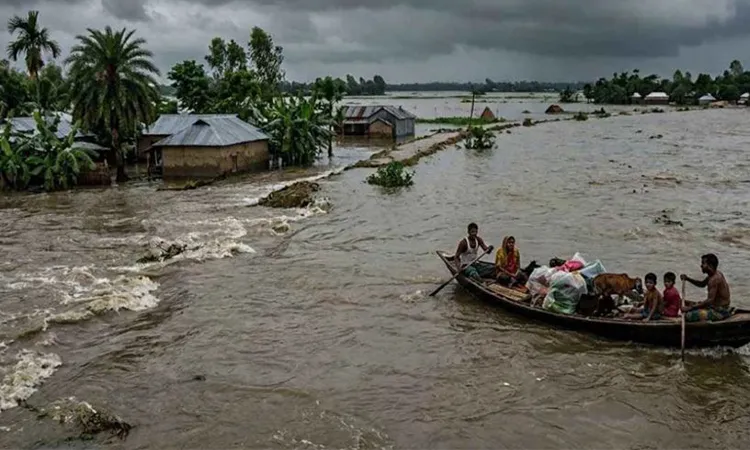 8 Rivers Above Danger Level in Northeast; Flood Risks Rise