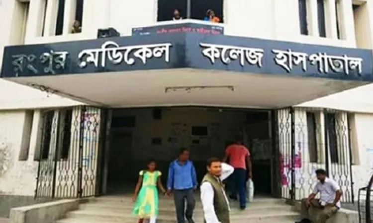 Health officials at the local complex confirmed that one victim sustained approximately 40 bee stings and required a transfer to a tertiary hospital in Rangpur due to the severity of the reaction.