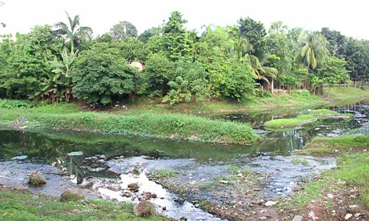 13 bridges dropped from Ichamati River dredging plan sparking concern in Pabna