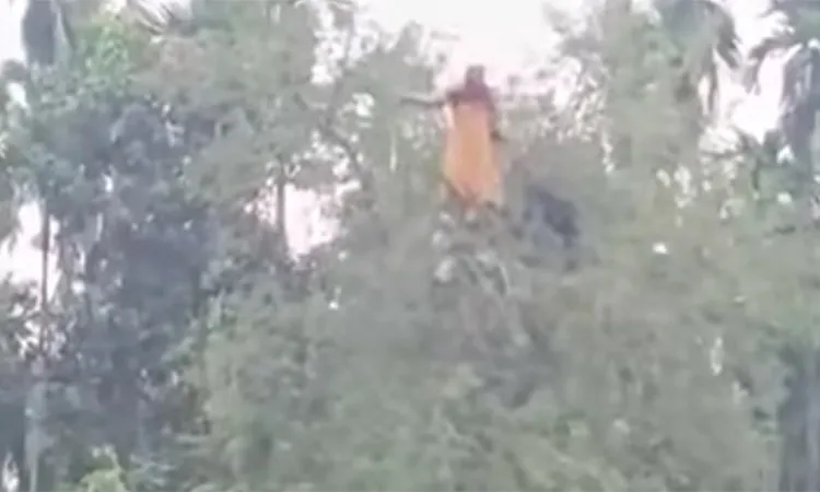 Sajeda jumped from the tree into a nearby pond. Firefighters and locals quickly pulled her from the water.