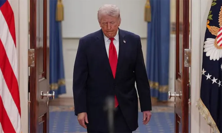 US President Donald Trump. Collected photos