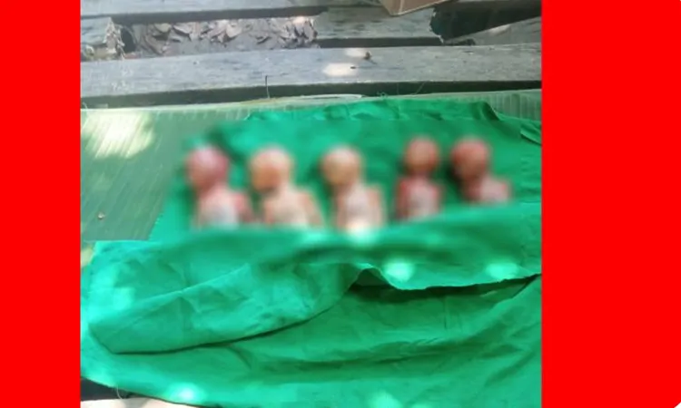 On Thursday morning, All of the infants were laid to rest side-by-side in the family graveyard in Kalukhali.
