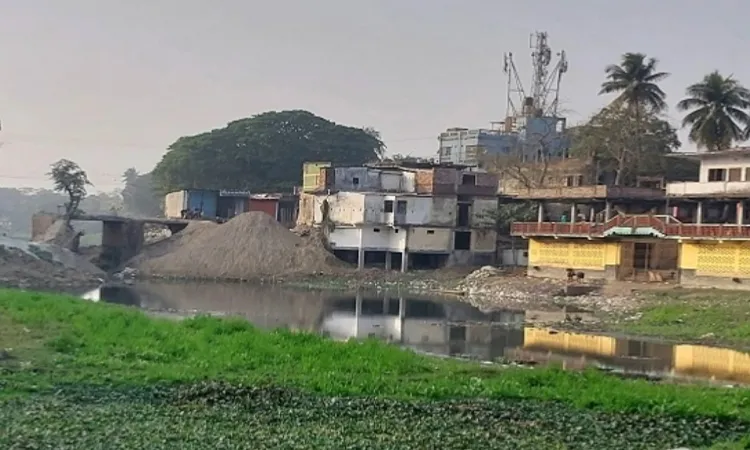 Photo: Collected