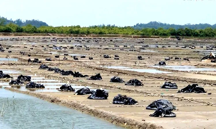 Kalbaisakhi Storms Hit Cox’s Bazar Salt Fields; 100k Tons at Risk