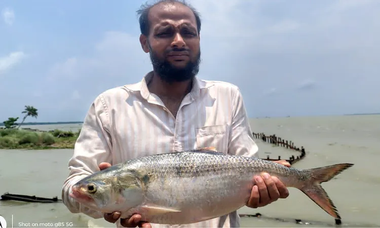 Shopkeeper Zakir Hossain reported that the fish was caught by a local trawler during a morning expedition.
