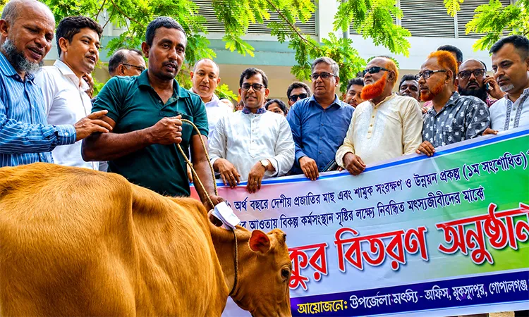 60 Fishermen Receive Heifers in Gopalganj Support Scheme