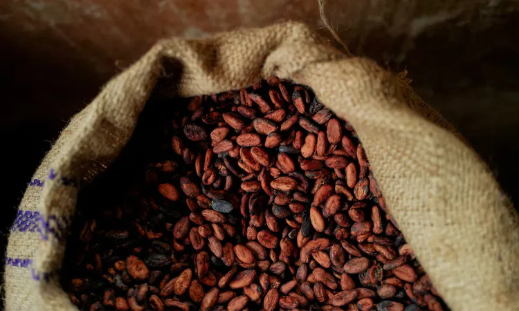 Finally putting real cocoa back into the chocolate.