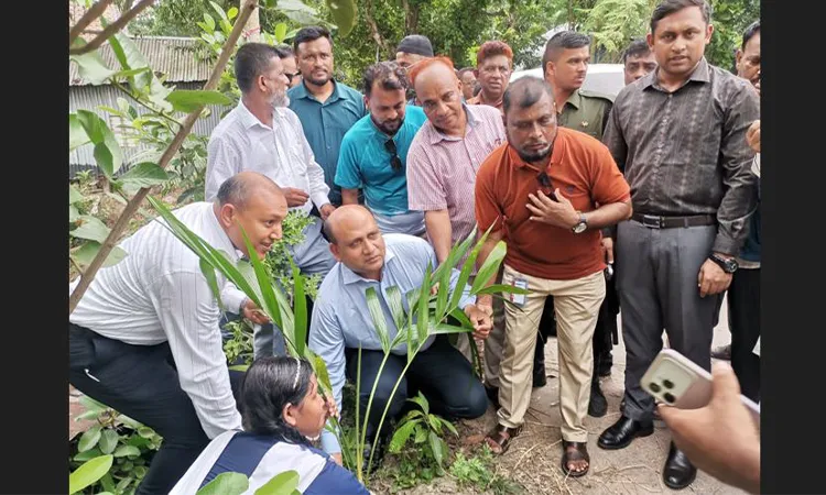 3,000 Areca Nut Trees Planted in Gopalganj Drive