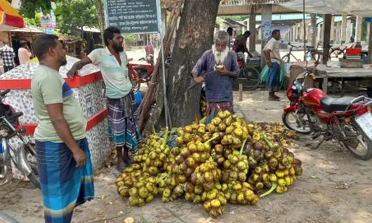 Seasonal vendors are busy selling tender palm fruit.