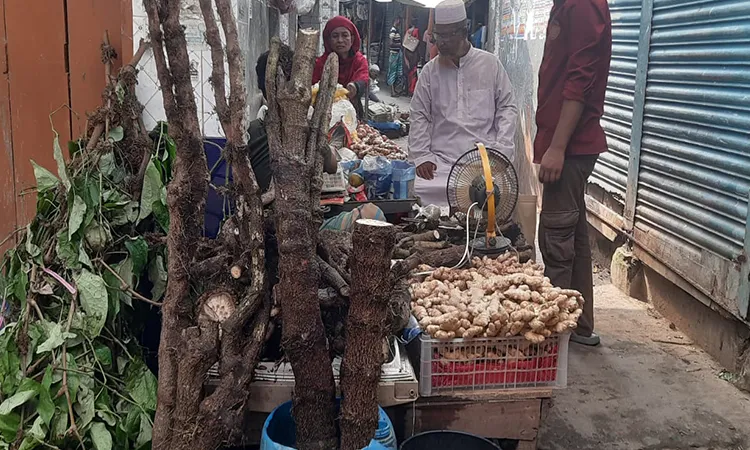 Chuijhal Prices Soar in Khulna Ahead of Eid-ul-Adha