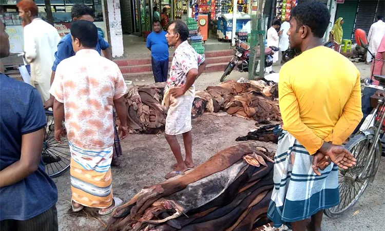 Sacrificial animal skins are being sold at a fraction of their official value.